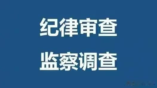 一国企原董事长被查，揭示腐败背后的真相与反思